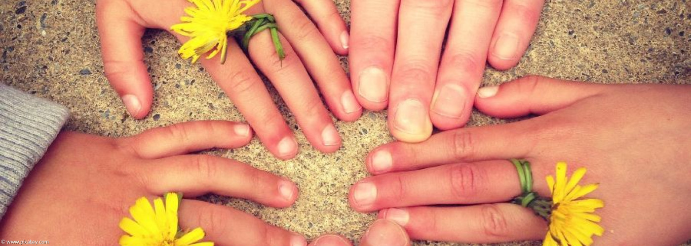 Kleine und große Hände mit gelben Einzelblüten sind kreisförmig angeordnet.